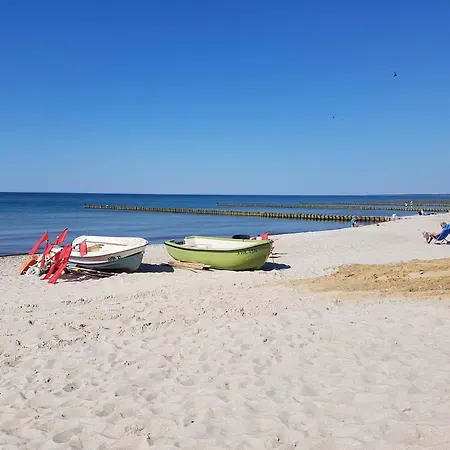 Seeschwalbe Nyaraló